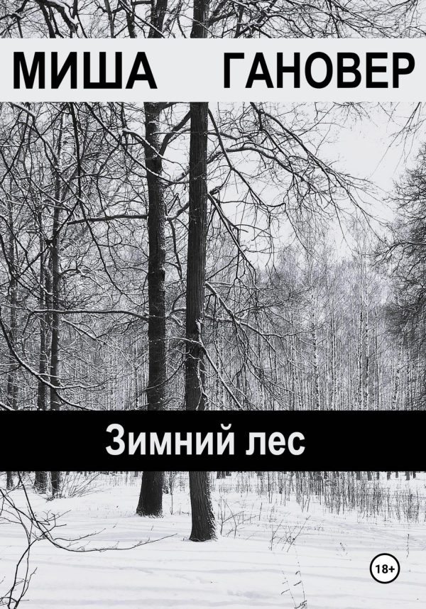 Обложка книги «Зимний лес»