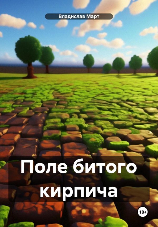 Обложка книги «Поле битого кирпича»