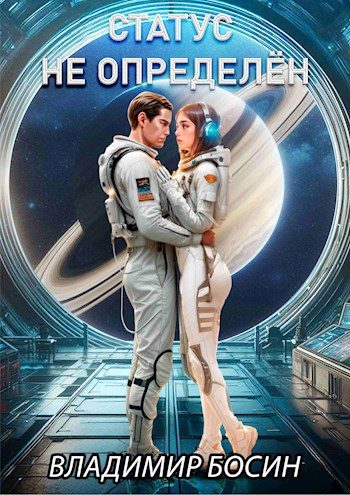 Обложка книги «Статус не определён»