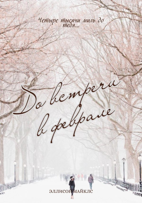 Обложка книги «До встречи в феврале»