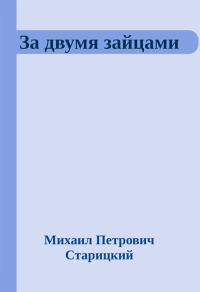 Обложка книги «За двумя зайцами»