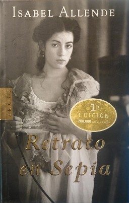 Обложка книги «Портрет в коричневых тонах»