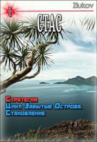 Обложка книги «Стас. Стратегия. Цикл Забытые Острова. Становление.»