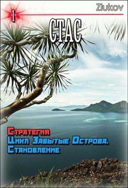 Обложка книги «Стас. Стратегия. Цикл Забытые Острова. Становление.»
