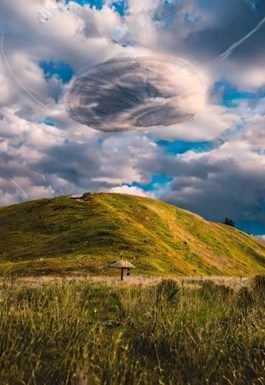 Обложка книги «Сила измеряется в ньютонах»
