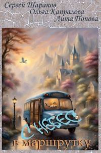 Обложка книги «С небес в маршрутку»