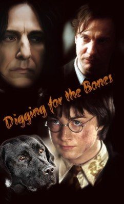 Обложка книги «Digging for the Bones»