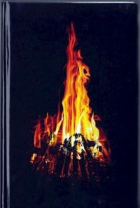 Обложка книги «666 градусов по Фаренгейту (температура, при которой горит ведьма)»