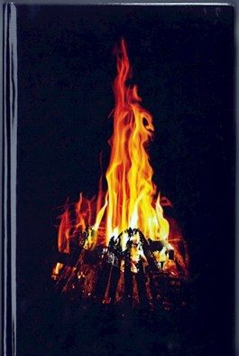 Обложка книги «666 градусов по Фаренгейту (температура, при которой горит ведьма)»