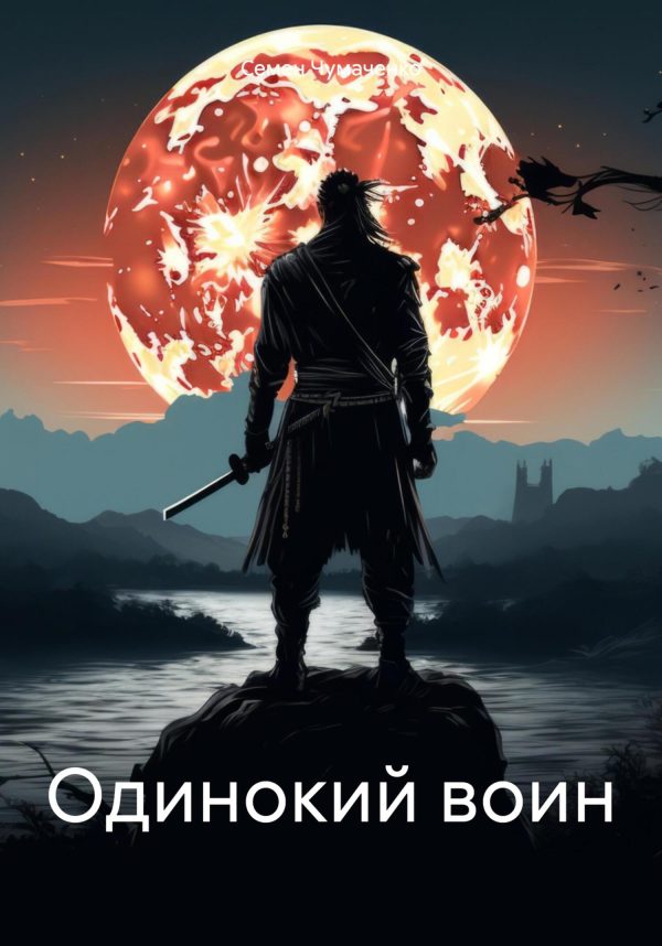 Обложка книги «Одинокий воин»