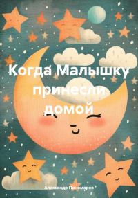 Обложка книги «Когда Малышку принесли домой»