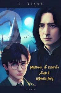 Обложка книги «Мальчик, об которого убился Тёмный Лорд»
