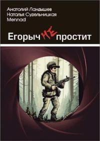 Обложка книги «Егорыч не простит»