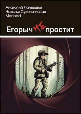 Обложка книги «Егорыч не простит»