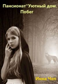 Обложка книги «Пансионат «Уютный дом». Побег»