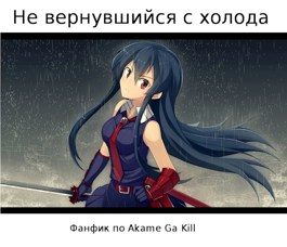 Обложка книги «Не вернувшийся с холода»