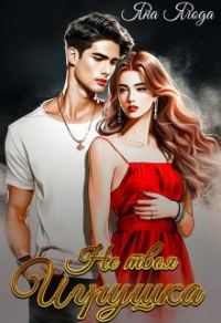 Обложка книги «Не твоя игрушка»