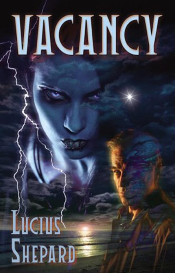 Обложка книги «VACANCY & ARIEL»