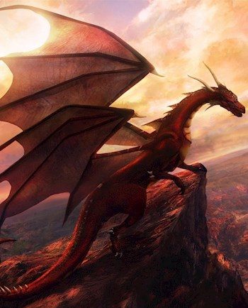 Обложка книги «Драконоборец»