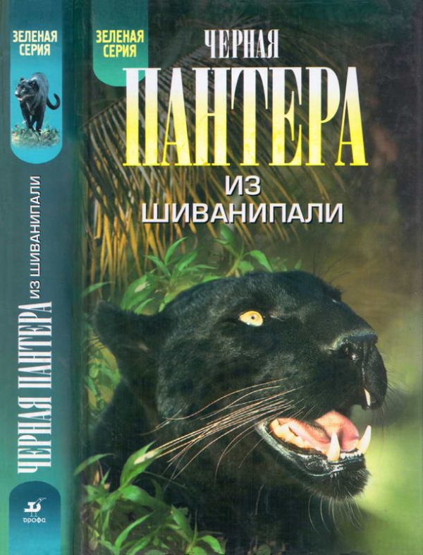 Обложка книги «Черная пантера из Шиванипали. Дикие животные Индии»