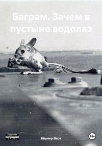 Обложка книги «Баграм. Зачем в пустыне водолаз»