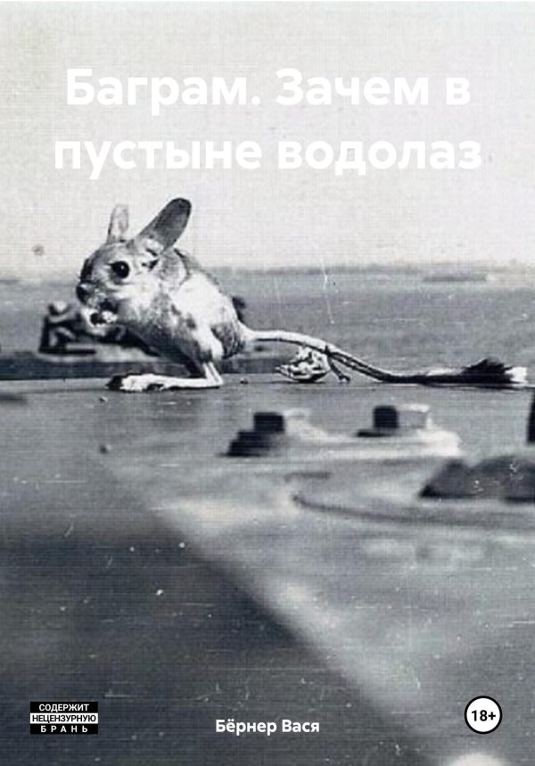 Обложка книги «Баграм. Зачем в пустыне водолаз»