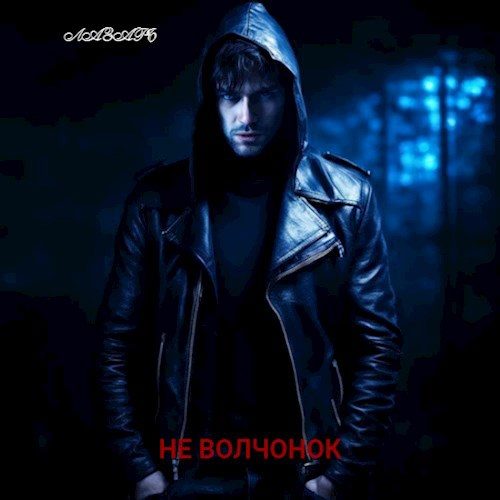 Обложка книги «Не волчонок»