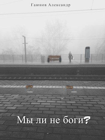 Обложка книги «Мы ли не боги?»