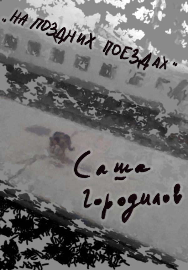 Обложка книги «На поздних поездах»