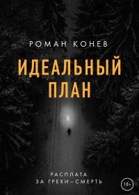 Обложка книги «Идеальный план»