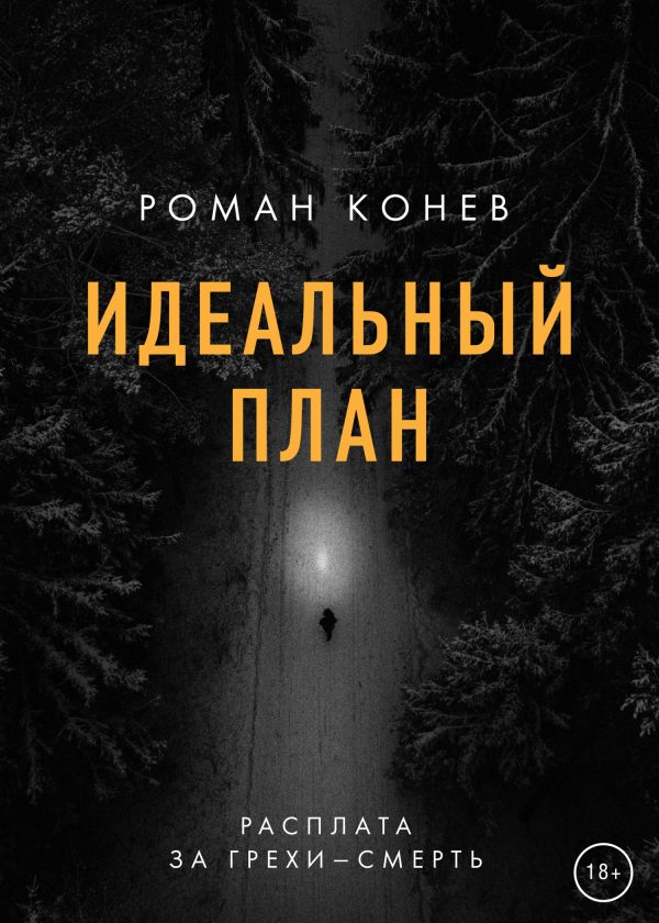 Обложка книги «Идеальный план»