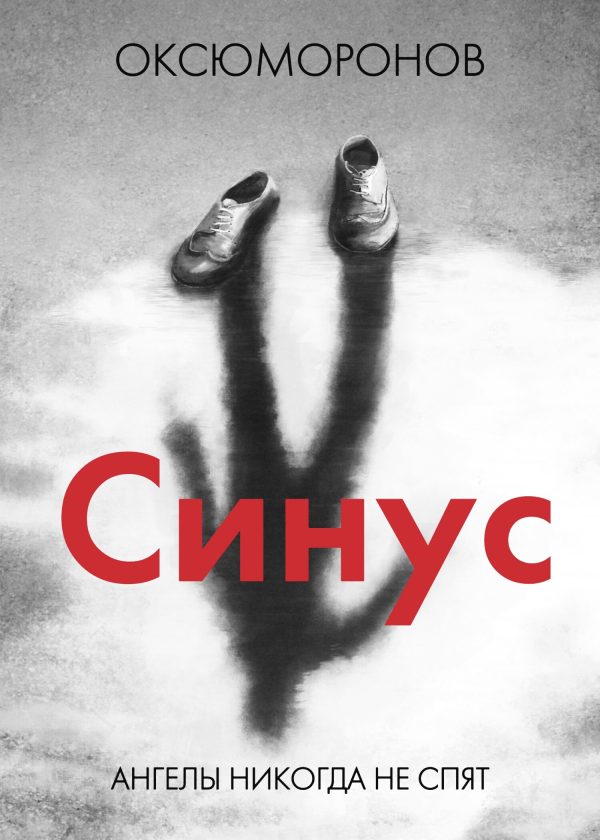 Обложка книги «Синус»