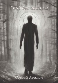 Обложка книги «Гриб без шляпки»