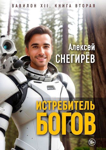 Обложка книги «Истребитель богов»