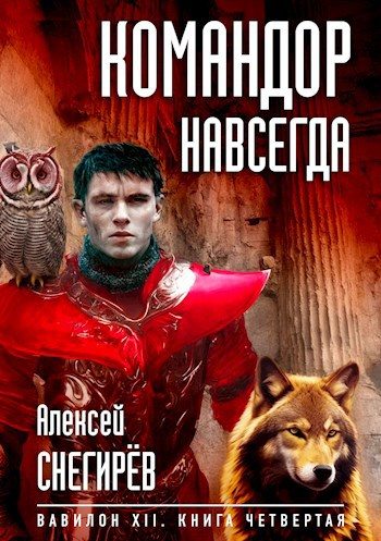 Обложка книги «Командор навсегда»