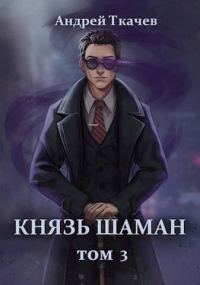 Обложка книги «Князь шаман. Том 3»