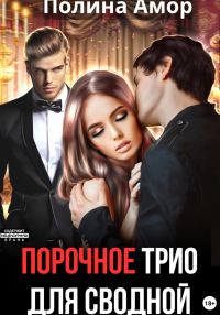 Обложка книги «Порочное трио для сводной»