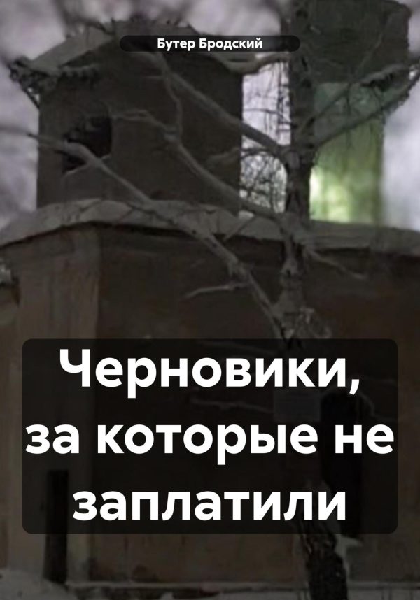 Обложка книги «Черновики, за которые не заплатили»