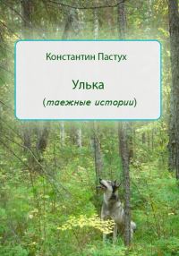 Обложка книги «Улька»
