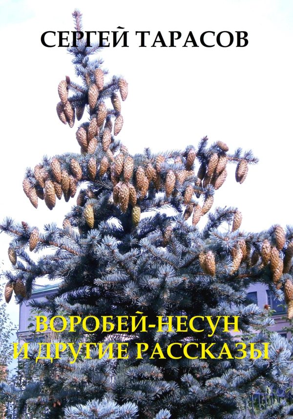 Обложка книги «Воробей-несун и погоня»