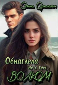 Обложка книги «Обнаглела не с тем Волком»