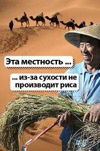 Обложка книги «Эта местность ... из-за сухости не производит риса»