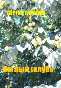 Обложка книги «Наглый голубь»