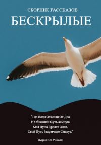 Обложка книги «Бескрылые»
