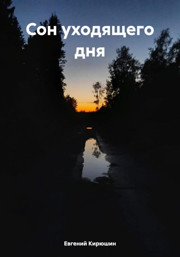 Обложка книги «Сон уходящего дня»