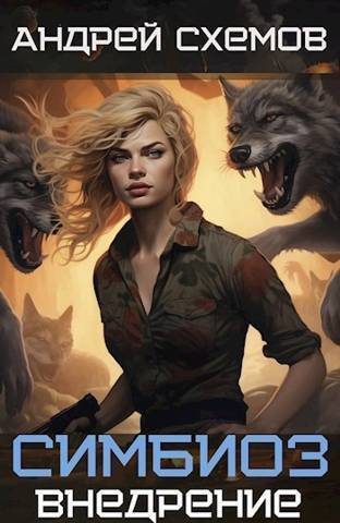 Обложка книги «Внедрение»