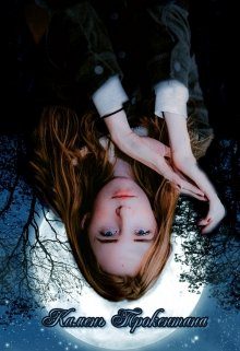 Обложка книги «Камень Трокентана. Книга 1»