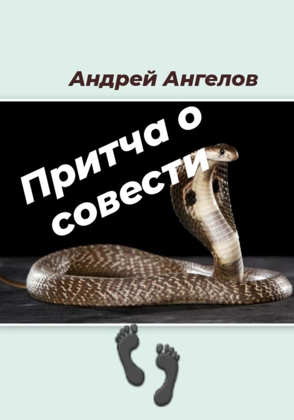 Обложка книги «Притча о совести»