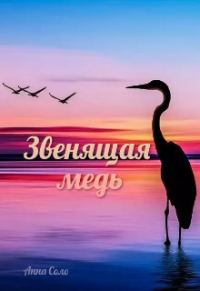 Обложка книги «Звенящая медь»