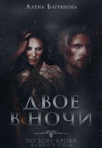Обложка книги «Двое в ночи»